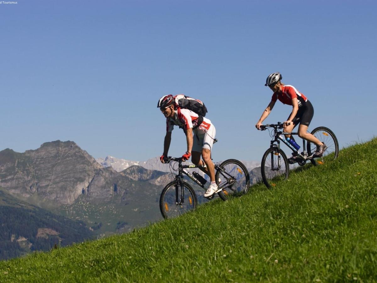Apartment In St Georgen Salzburg Near Ski Area Furstau Ngoại thất bức ảnh